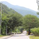 숲속의 산책 이미지