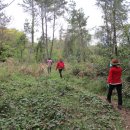 신평공원 이미지