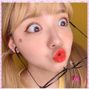 신기리스 이미지