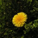 경희대성한의원 이미지