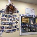 럭셔리 펫 이미지