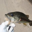 구룡천2 이미지