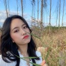 와이씨케이 이미지