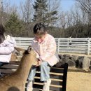 우리사슴목장 이미지