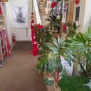 나리목장2 이미지