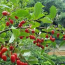 WG스포츠파크고성 이미지