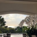 대흥365약국 이미지