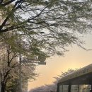 경기대석사태권도 이미지