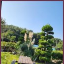 차니네민박 이미지