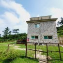 낮은굴뚝 애견펜션 | [태안 대형견 애견 펜션] 안면도 애견 펜션 - 낮은굴뚝 애견펜션 솔직후기🧡