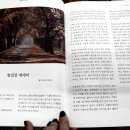 창신서점 이미지