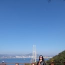 여수바다선어삼합 이미지