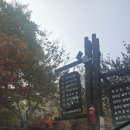 율리휴양로 | 증평투어패스 사용후기 좌구산휴양림 가상증강현실체험장 &amp;휴앤뷰 족욕카페