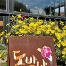 남원꽃식물원 앞 | 🌺 [제주 겨울 동백꽃 여행 코스 추천] | 눈 내릴 때 더 예쁜 감성 명소 BEST 4