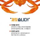 박달어린이공원 | 제29회 영덕대게축제 2026 | 일정·프로그램·주차·맛집·숙소·대게 낚시·경매·줄당기기까지