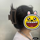 머리숱 많은 사람 집게핀 추천 내돈내산 대형 헤어핀 후기