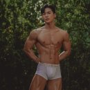 머슬드래곤짐 이미지