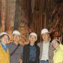 지례초등학교 이미지