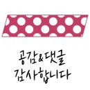 (유)금보 네이버블로그