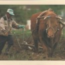 공중실(1층) 이미지