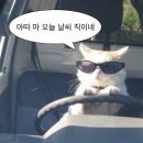 안녕케이쿠 | 서울대공원후기