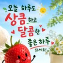 기분좋은날