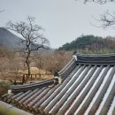 차경 이미지