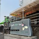 영농법인 산길 | 특별한 제주 여행 코스 추천! (6월에만 볼 수 있는 반딧불이)