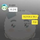 새싹컴퍼니