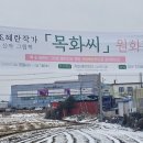 목화 이미지