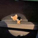 신정희 숯불닭갈비 이미지