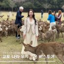 오사카 교토 나라 우지 기온거리 청수사 버스투어 &#39;여행한그릇&#39; 가족여행 찐후기