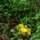 수타사로 이미지