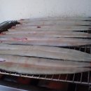 사계절 민물 이미지