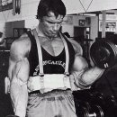 아놀드헬스 이미지