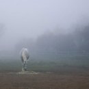 두미목장 이미지