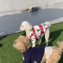 신명유치원 이미지