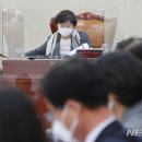 서영교 카카오 검색결과