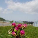 이명희농장 이미지