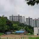 성불사길 이미지