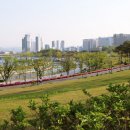 세종호수공원 이미지