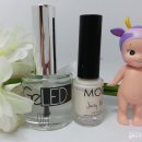 까멜리아네일 이미지