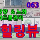 이정표딸기