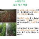 신안다원