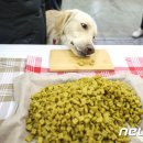 수제산업동물병원 이미지