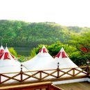 햇잎갈비 이미지