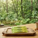 건강이야기 | 양배추엑기스 속 편안함으로 채우는 위 건강 이야기