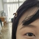 동탄 헤어 메이크업샵 제이수 메이크업 다녀온 후기