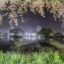 영산 연지못 이미지