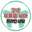 [온라인상담: 고2 우울증 남아] 우울증, 우울증상, 대인관계, 집단상담, 아동상담, 청소년상담, 한국아동청소년심리상담센터 이미지